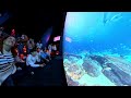 Georgia Aquarium HDR
