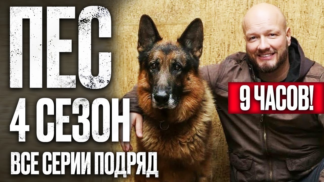 Пес 4 часть