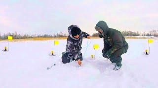 Волосы ДЫБОМ от таких щук. ЭКЗЕМПЛЯРЫ нас сильно порадовали