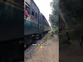 চিলাহাটি অভিমুখে রকেট মেইল।। #train #sorts #railway