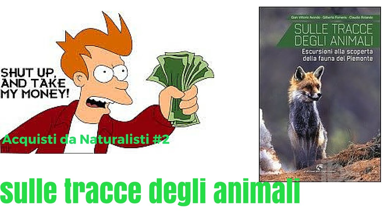 Ravensburger Tiptoi - Gioco Sulle Tracce Degli Animali (00573) - Versione Italiana +4 Anni - 3