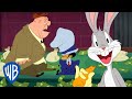 Looney Tunes po polsku 🇵🇱 | Bugs daje nauczkę przestępcom | WB Kids