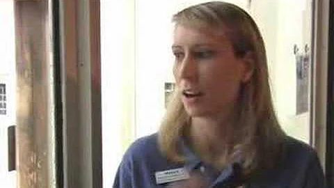 Gorilla Birthday Party