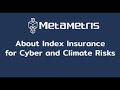 About Index Insurance for Cyber and Climate Risks