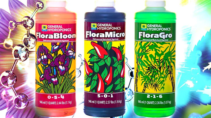 I Explain Why And How I Use The GH Flora Series To Grow MONSTER PLANTS Using Nutrient Feed Charts