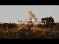 心がボロボロになった時に聞きたい曲。【和訳】