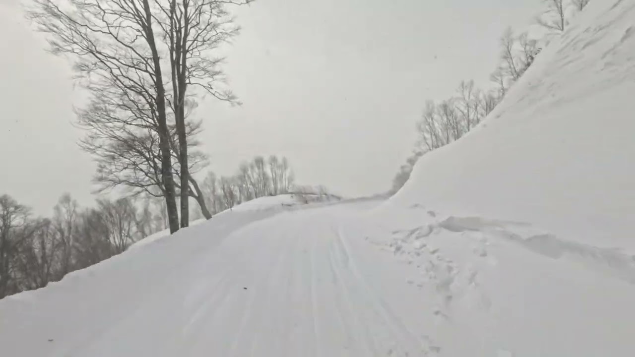 スキー 2026 02 19 ホワイトワールド尾瀬岩鞍 26 とちの木コース