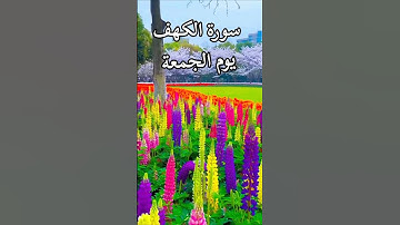 سورة الكهف الشيخ سعد الغاميدي #القرآن_الكريم #سعدالغامدي #المصحف #quran #اكسبلور #duet #لايك #الرحمن