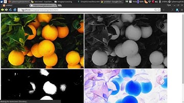 Pengolahan citra(image processing) dengan canvas html5 dan javascript 3#:Grayscale,Binary,Invert,