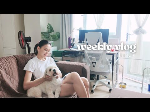 Weekly Vlog Diaries | Wedding Dress Fitting, Cleaning, Grocery Run