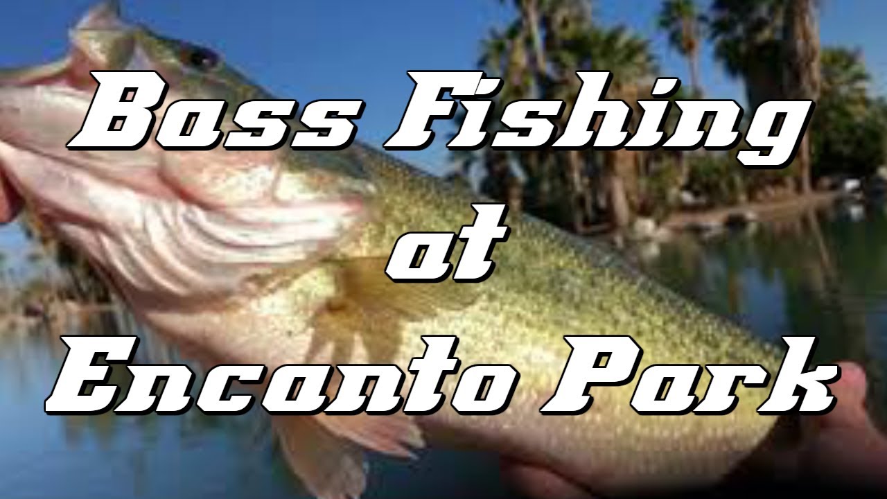 Bass Fishing at Encanto Park (Phoenix, Arizona) - YouTube