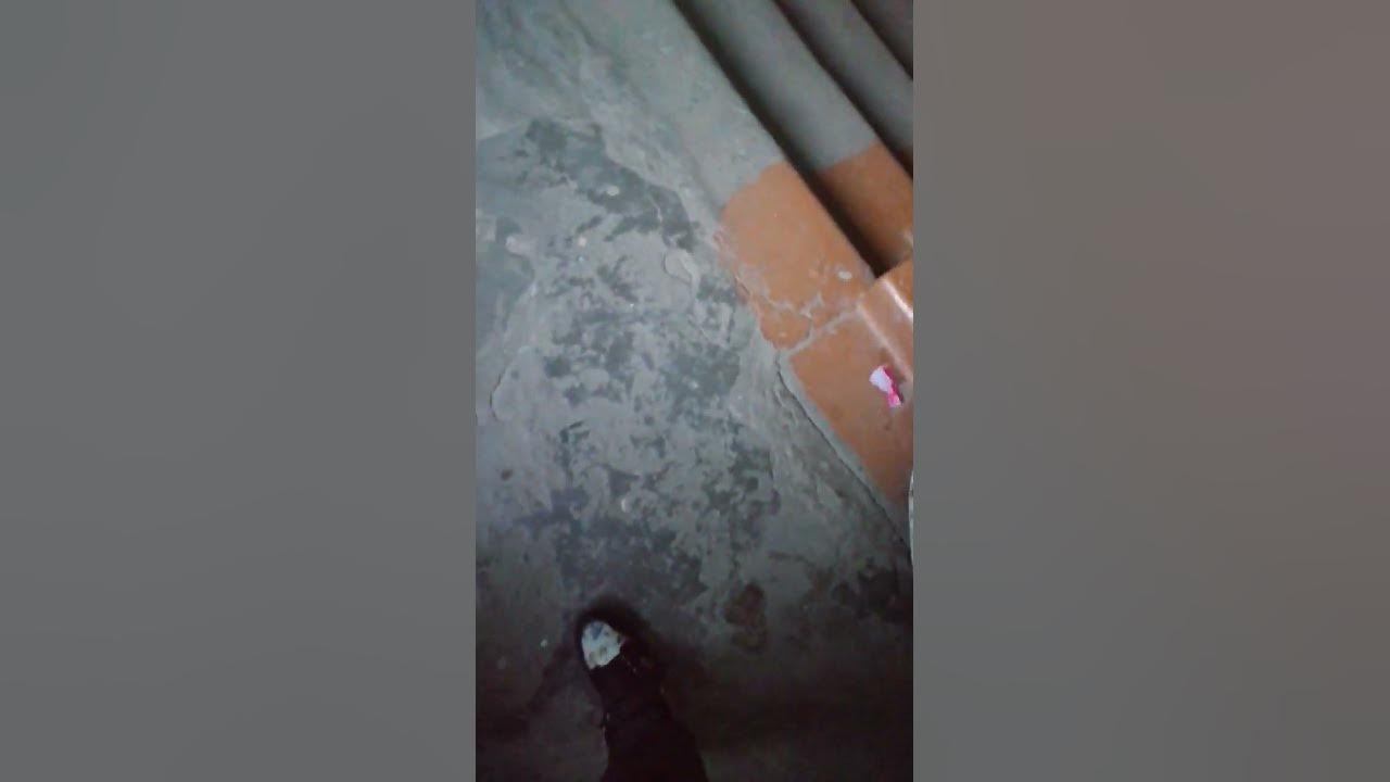 сипи компани - YouTube