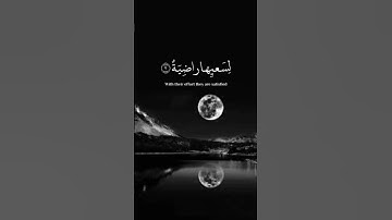 قرآن كريم خلفية سوداء #القرآن_الكريم #مصر  #العراق #الجزائر #المغرب #رامز_ايلون_مصر