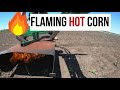 Flaming Hot Corn