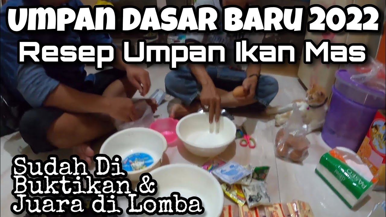 Terbaru!! 2022 Racikan Umpan Ikan Mas Terjitu Sedunia Umpan Murah