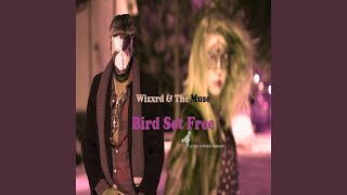 Download Lagu Bird Set Free Download Lagu Bird Set Free