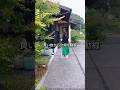 買い物の帰宅動線 |主婦の家事ルーティン|ルームツアー|小さな平屋 #shorts