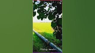 STORY WA 'TAK INGIN GAGAL LAGI' ( Deddy Dores )     https://youtu.be/EKK7EyVG_3g