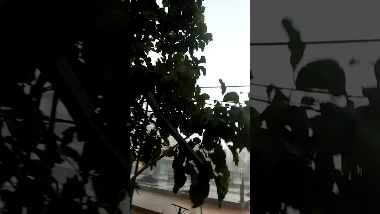 Rain in Yelahanka Bangalore 5.36pm today YouTube