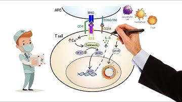 Pharmacology - IMMUNOSUPPRESSANTS (MADE EASY)