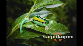 Vídeo: Peixe artificial Croaker Crank Sakura