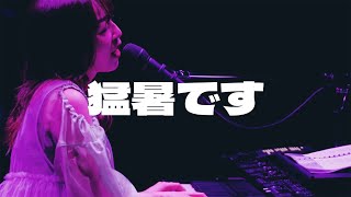 ヒグチアイ / 猛暑です【Official Live Video】｜Ai Higuchi 