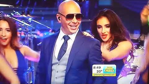 Pitbull Don
