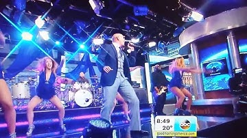 Pitbull Don
