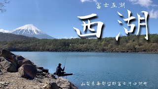 宙釣りも調子良くなった西湖 両グルテンでやってみるへらぶな釣り
