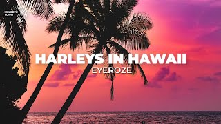 Harley's in Hawaii (eyeroze Cover)