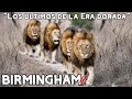 BIRMINGHAM | La ÚLTIMA gran COALICIÓN de SABI SAND