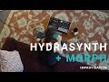 Hydrasynth  sensel morph improvisation  sarah belle reid