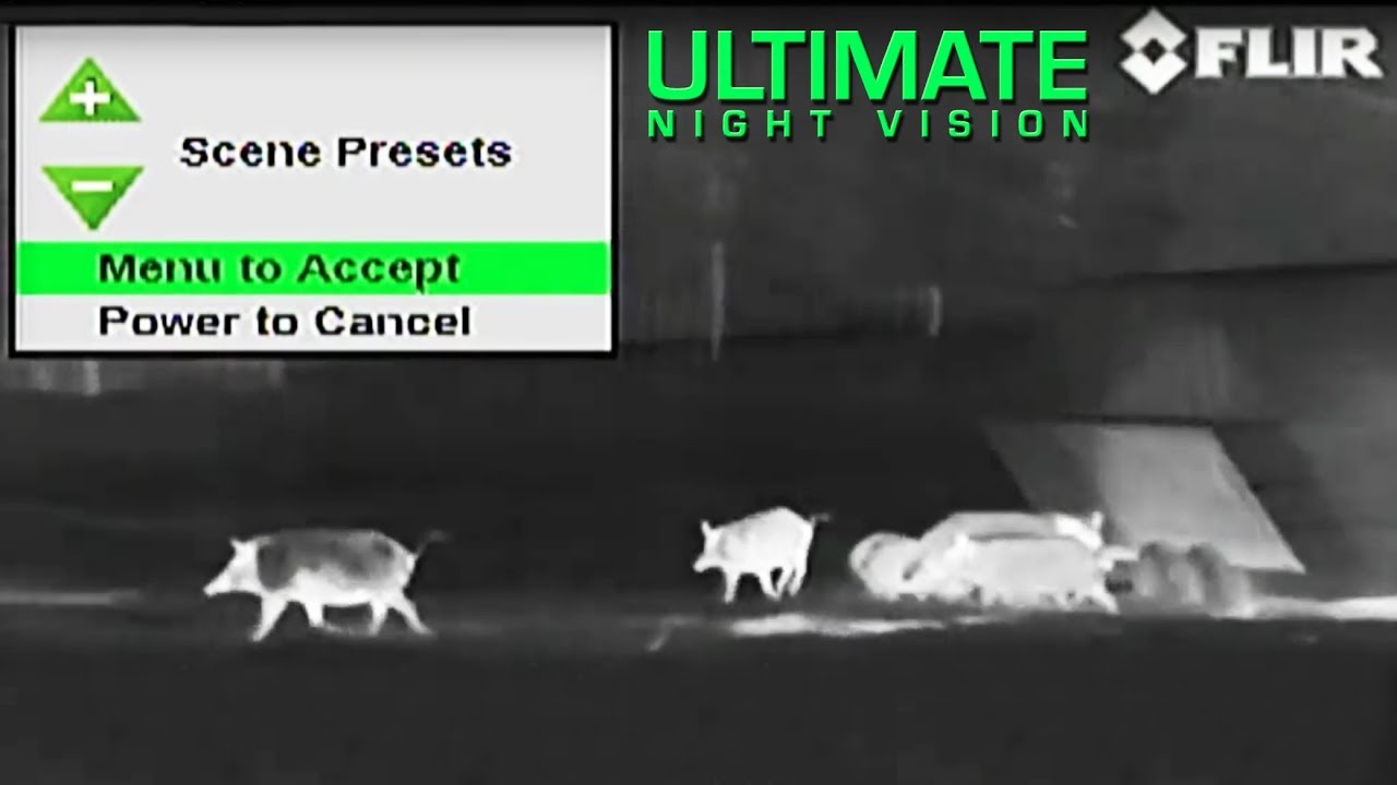 First Thermal Hog Hunt with a FLIR RS64 2x 60mm