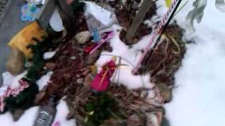 Richard Shannon Hoon grave site
