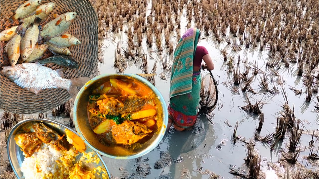 Fish catching 🐟 in village 