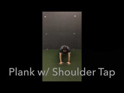 Plank w/ Shoulder Tap