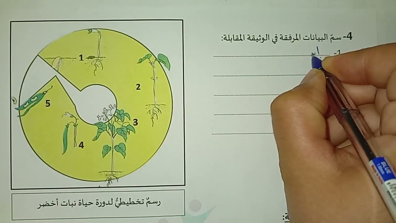 إختبار في التربية العلمية سنة رابعة ابتدائي الفصل الثاني 3نماذج متنوعة 