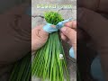 【野菜便利ロック結び】二つ折り巻き締め、初心者すぐ習得～ #初心者OK #今すぐ習得
