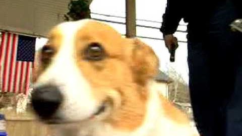 Meter Readers, Utilities