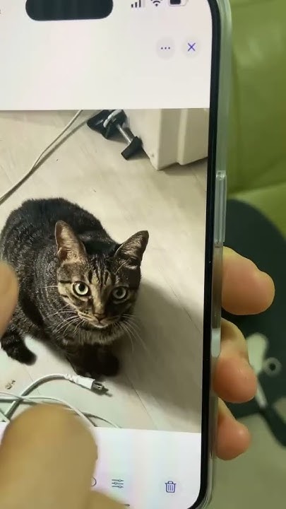 [討論] iPhone 16 pro 上遇到的摳圖問題