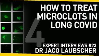 How To Treat 'Microclots' in Long Covid | With Dr Jaco Laubscher