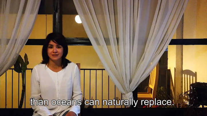 Maria Fernanda Vergara Carreno & the SDGs