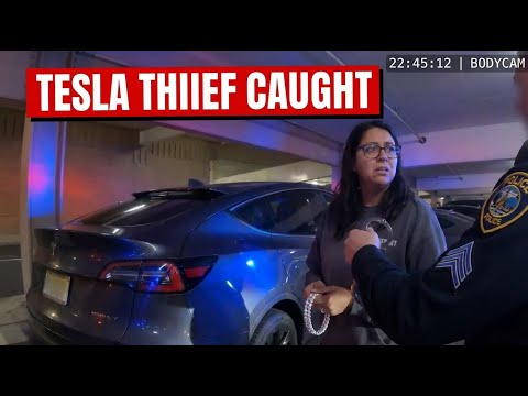 INDIAN Shoplifter Driving TESLA | 🇺🇸
