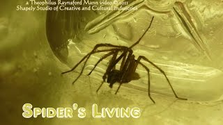 Spider's Living 2011