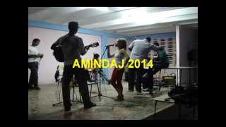 Amindaj preparas duan albumon aperontan bitformate ĉe Vinilkosmo.