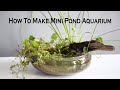 How To Make Mini Pond Aquarium  - Emers Plants