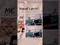 Perfect animated Wonderful #edit #random #humor #anime #randomemes #memes