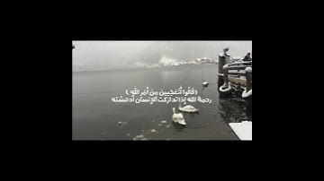 تلاوة خاشعة بصوت جميل | قرآن 🫀🌿