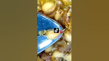 Everyday Ojects in Macro😍: #zoom #macro #macrovideo #macrozoom  #asmr #macrofying #microscope #micro