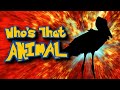 Who&#39;s That Animal?! (ep. 4) Animal Guessing Game | Animal Fact Files